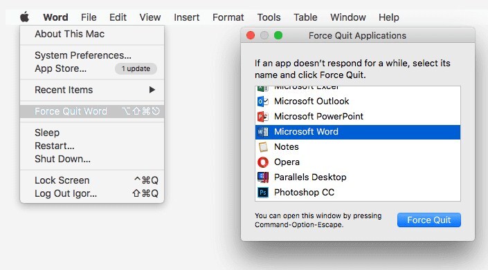 curved text is ms word for mac